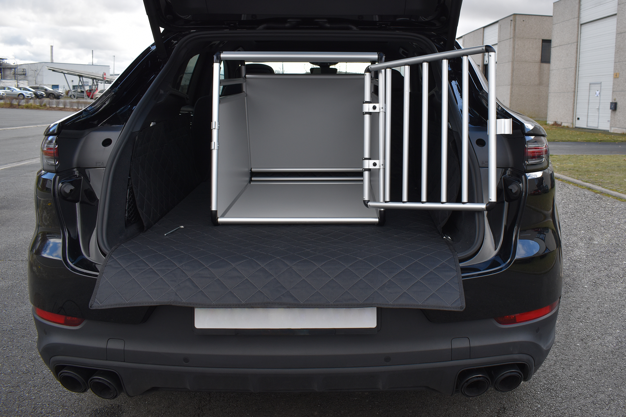 dog auto cage