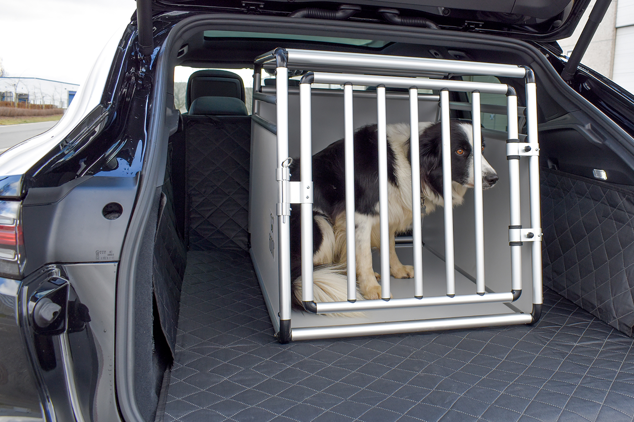 dog transport cage