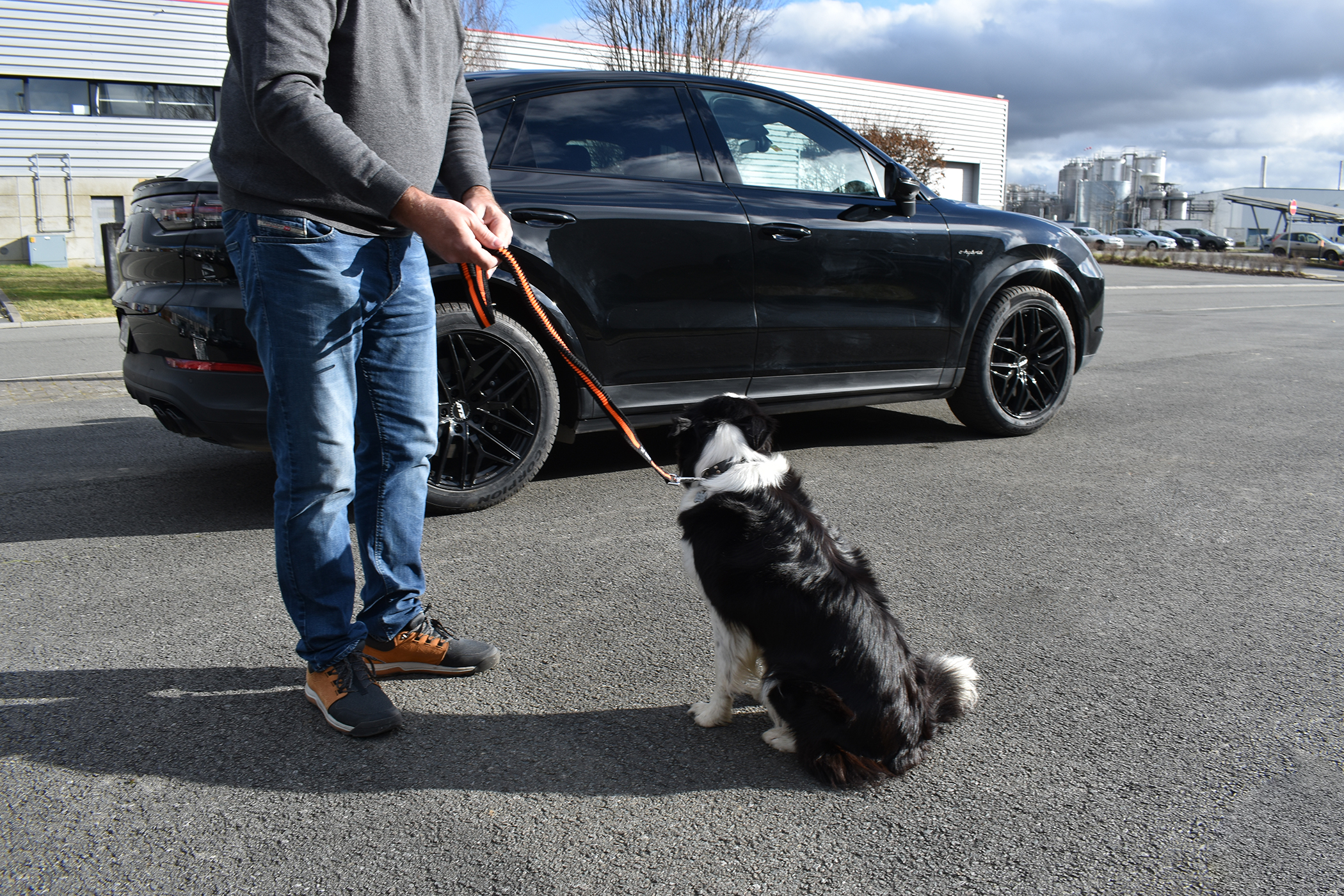 Hundehaltung mit Sicherheitsgurt